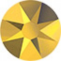 20ss Aurum  Viva
